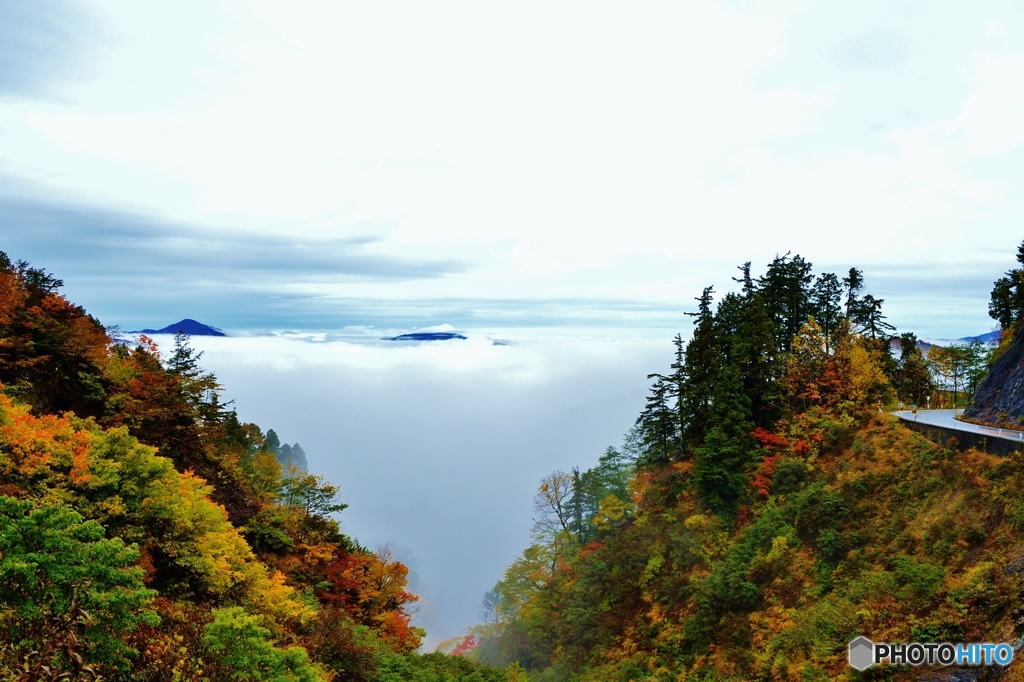 天空の紅葉