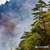雪と雨と紅葉と