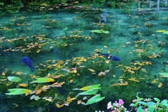モネの池Ⅱ