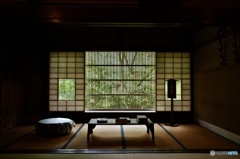 自然の灯