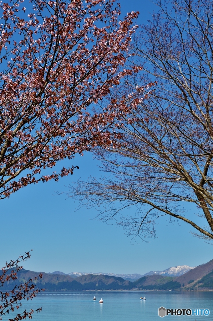 田沢湖