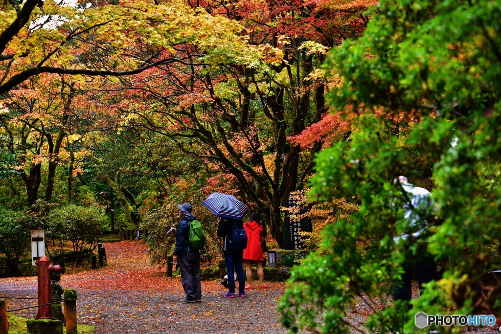雨の日