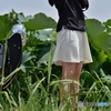 大きな蓮の葉