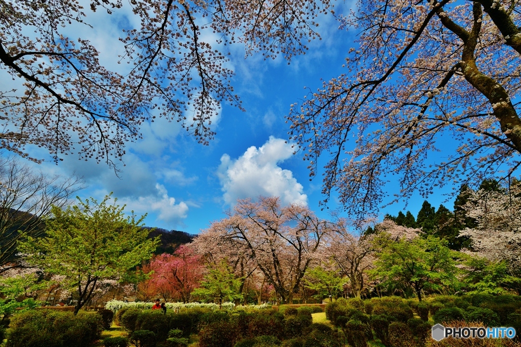 青空