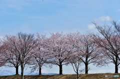 青空