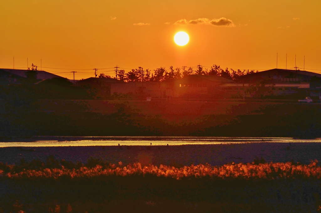 夕陽に照らされて