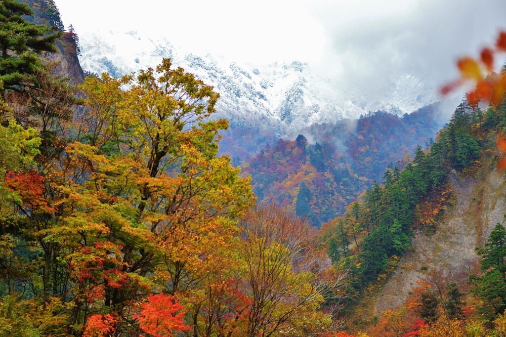 白山冠雪