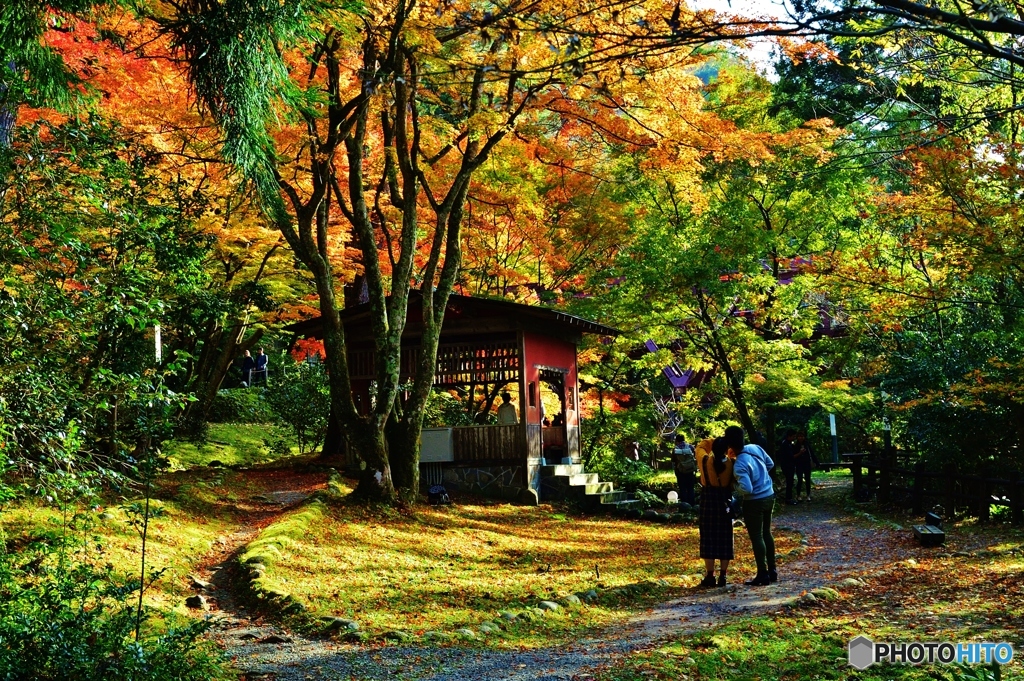 鶴仙峡　桜公園