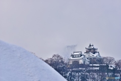 冬の山城