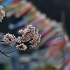 時を止めて