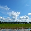 空