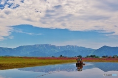 田園風景