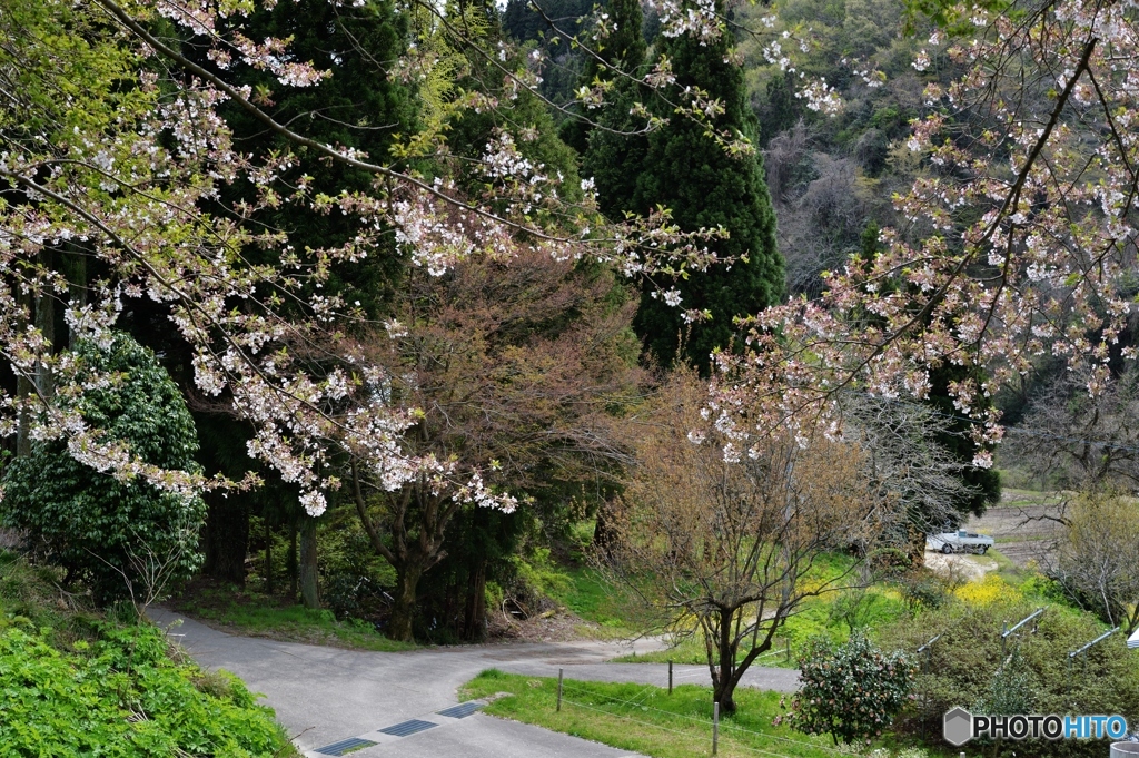 田舎路