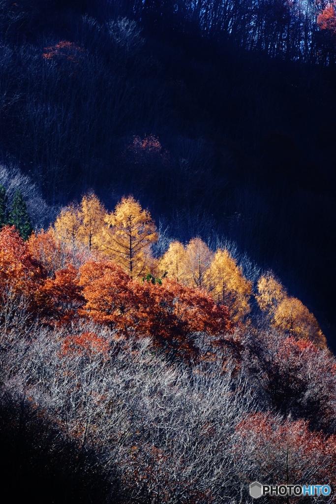 陽のあたる場所