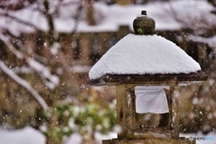 雪景色