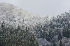 雪化粧