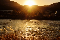 日野川の暮れ
