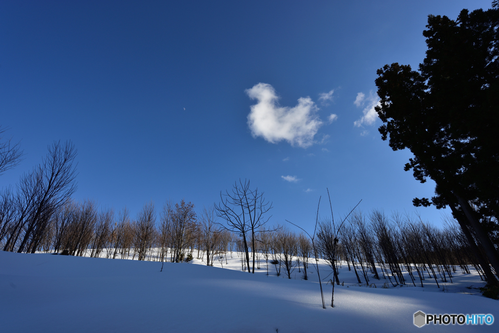 冬の青空