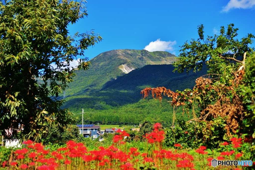 伊吹山の秋