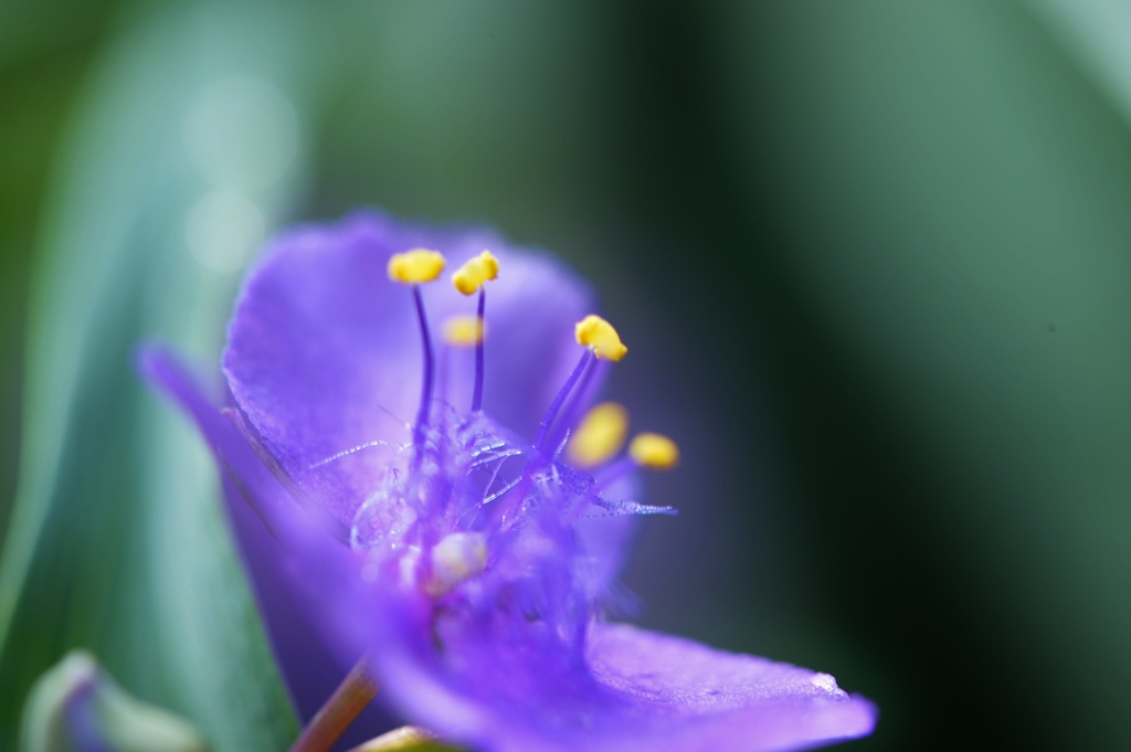 雨に濡れて