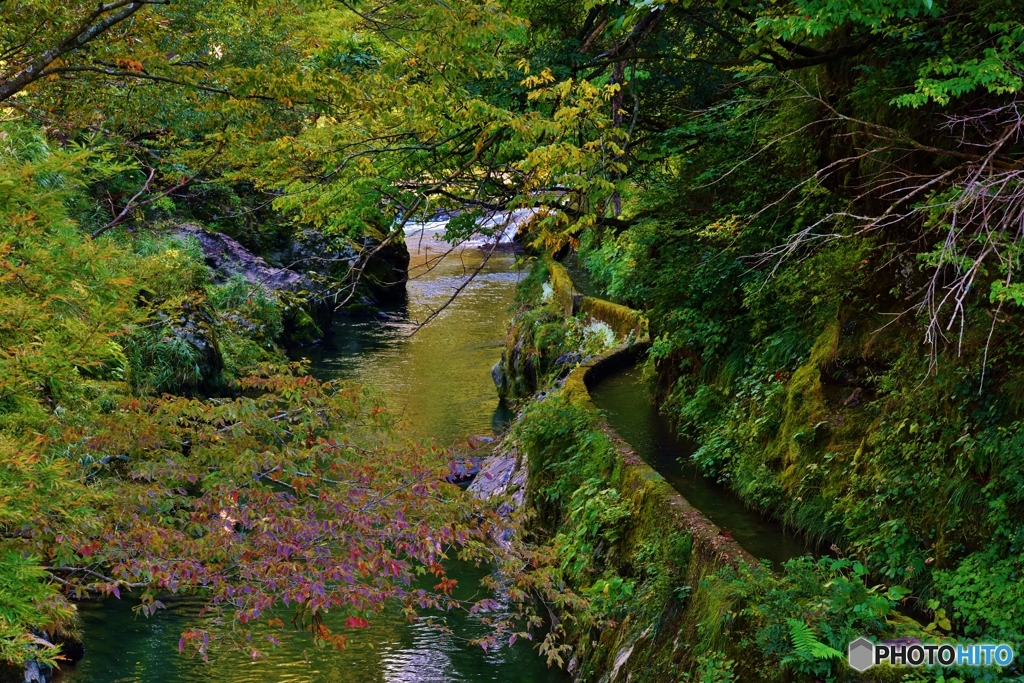水路のある川