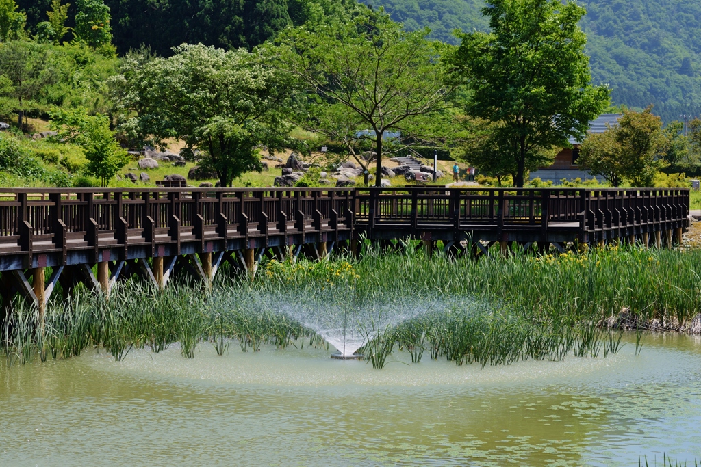 河内村　吉岡園地