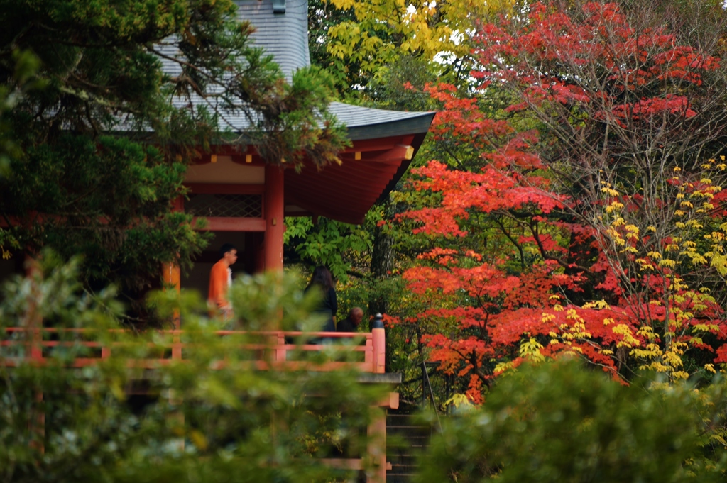 那谷寺の紅葉 (3)
