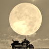 moon　Rider