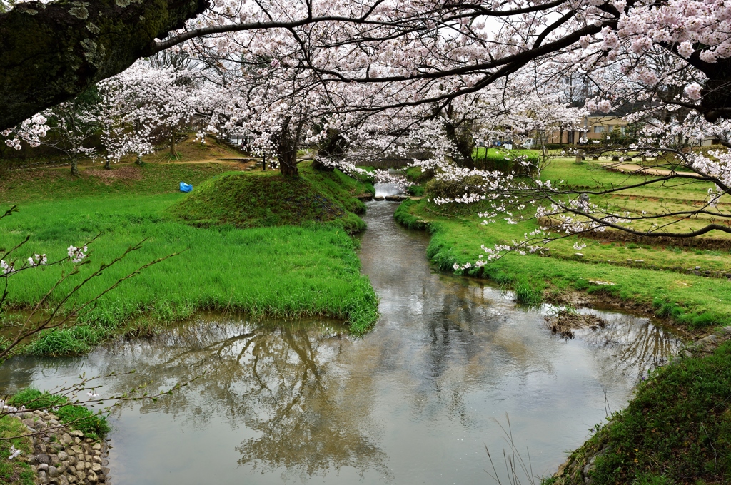 春の小川