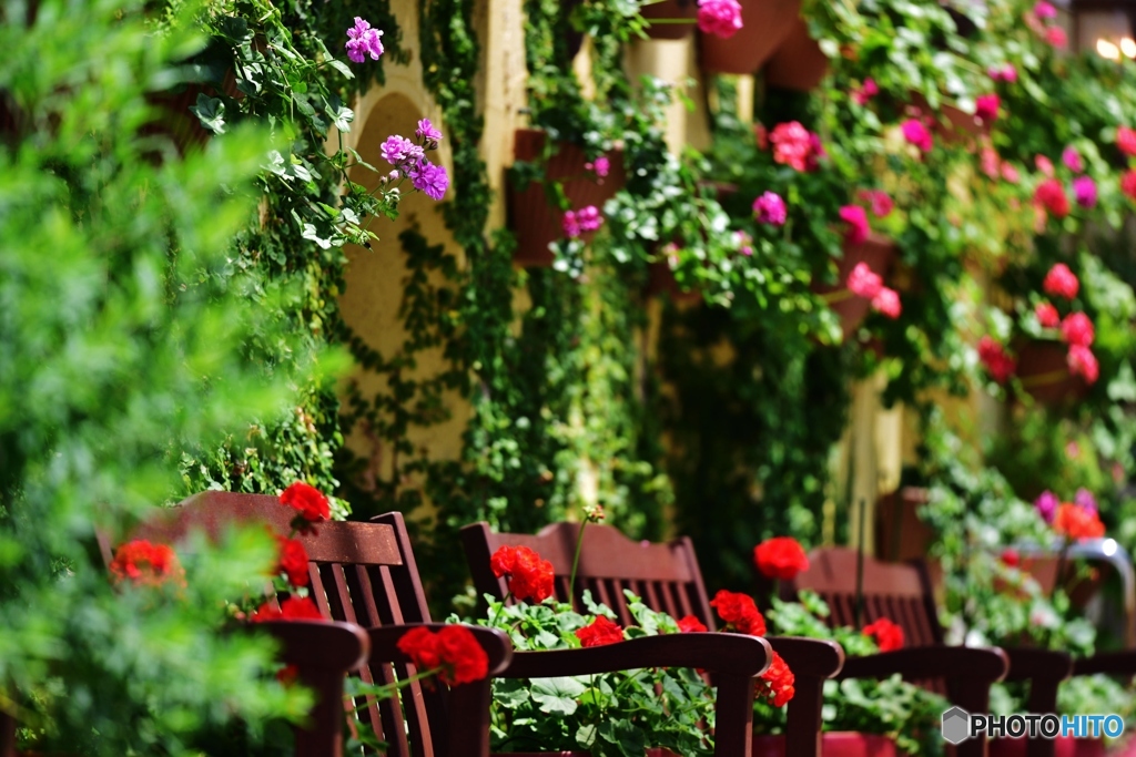 garden