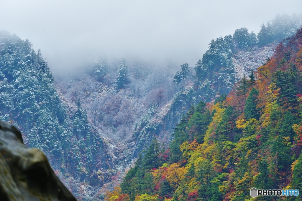 冠雪