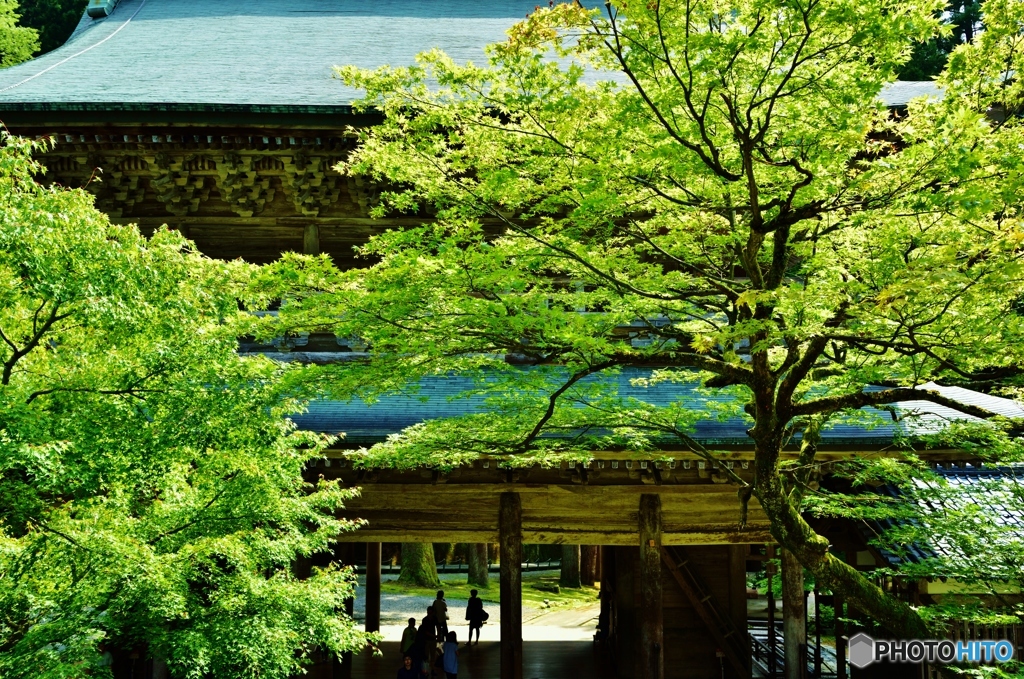 永平寺