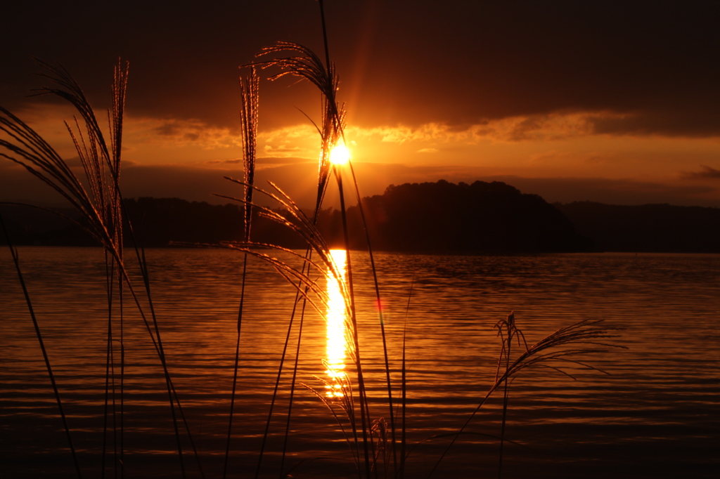 湖山池夕景