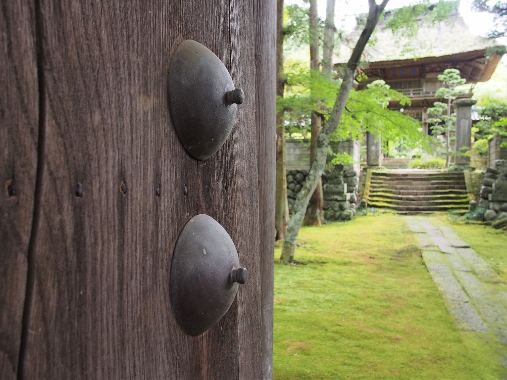 まるで緑の絨毯のよう♪苔が美しい佐久の貞祥寺