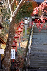 軽井沢の秋！熊野皇大神社
