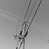 074A5669
