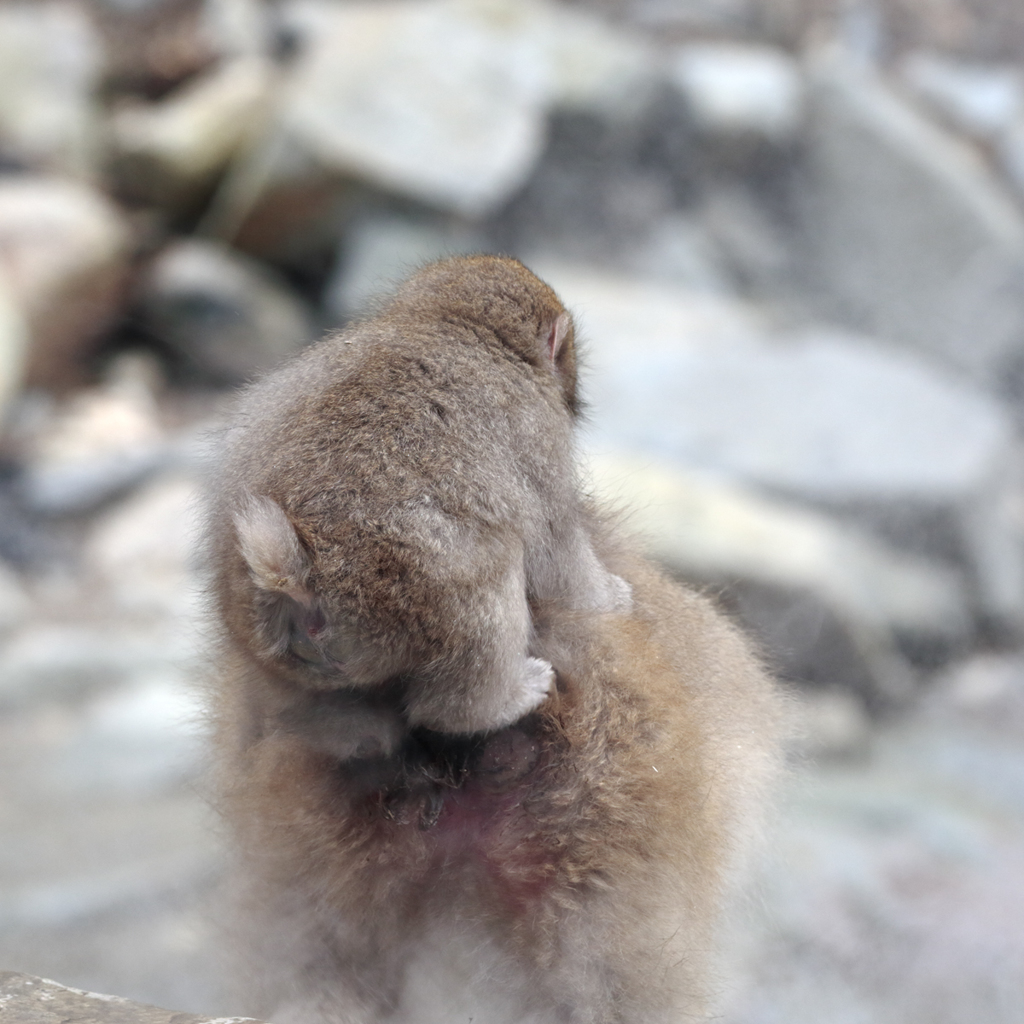 かぁちゃんの背中