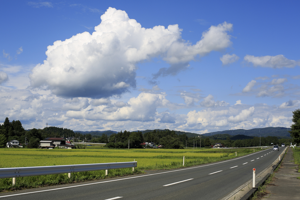 嫁さんを育てた空