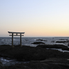 この鳥居をくぐるもの。