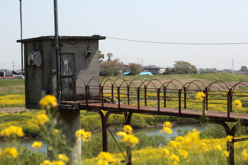 秘密基地の入り口です。