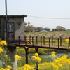 秘密基地の入り口です。