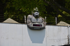 動物園にあったやつ
