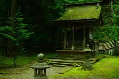 社