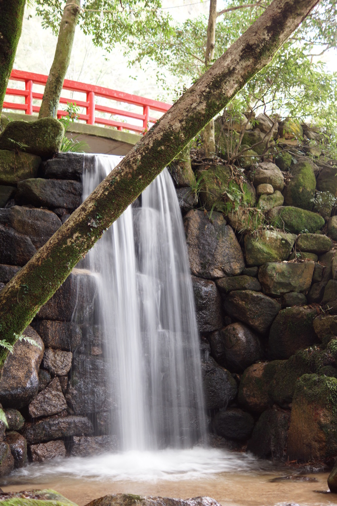 ついでの滝