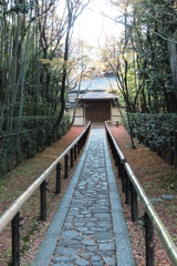 京都　高桐院