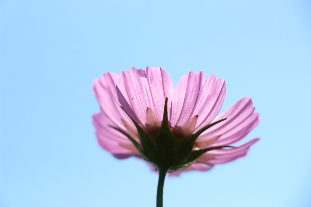 下から失礼します