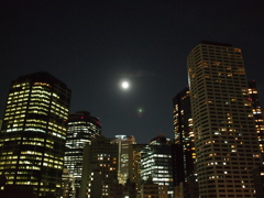 摩天楼と月