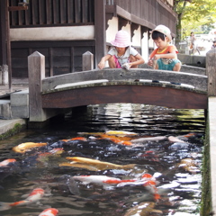 城下町にて～津和野