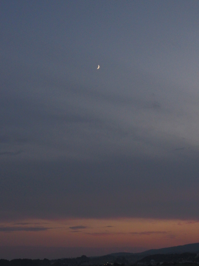 雲３１１