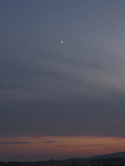 雲３１１